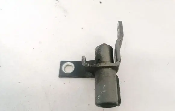 Rear door lower hinge