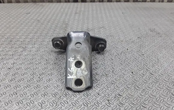 Mitsubishi Grandis Rear door lower hinge