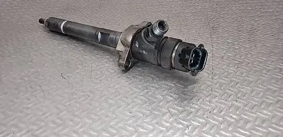 Citroen C3 Picasso Fuel injector 0445110297