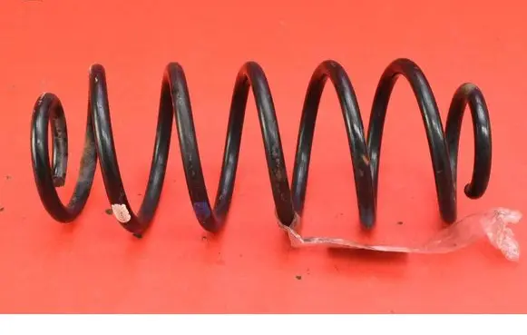 Rear coil spring