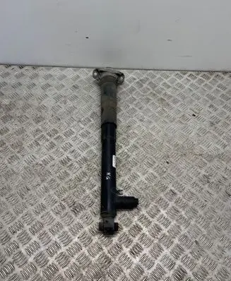 Volkswagen Golf VIII Rear shock absorber/damper 5WA512009AP HA1659 EM533601