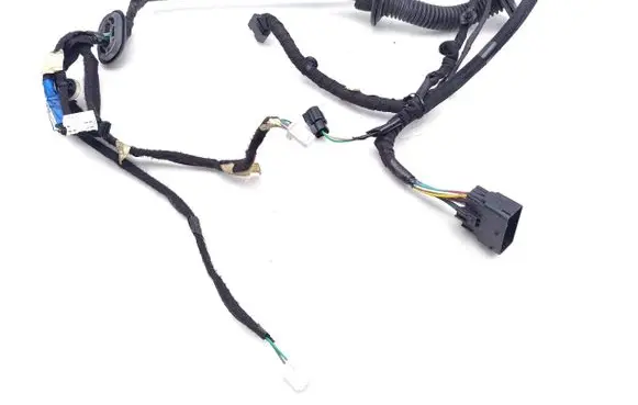 Front door wiring loom