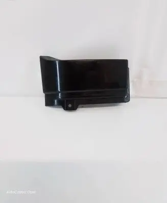 Rear/tail light trim molding