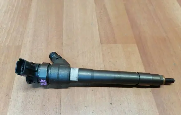 Renault Espace V (RFC) Fuel injector 0445110569 166000804R 95518001