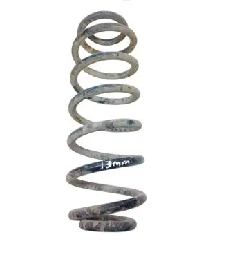 Volkswagen PASSAT B6 Rear coil spring