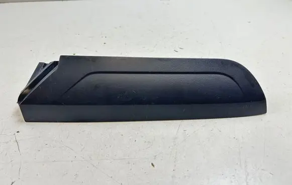 Rear/tail light trim molding