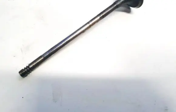 Renault Vel Satis Valve 