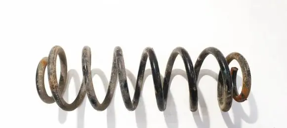 Rear coil spring
