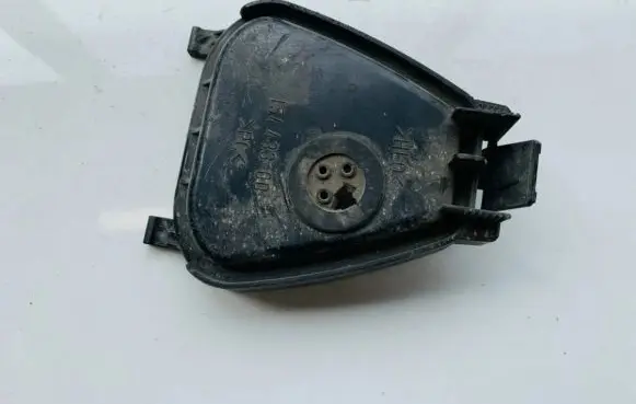 Volkswagen PASSAT B5 Headlight/headlamp dust cover 15443300 154433-00
