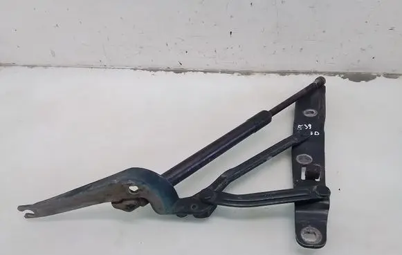 Tailgate/trunk/boot hinge