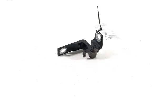 Rear door lower hinge