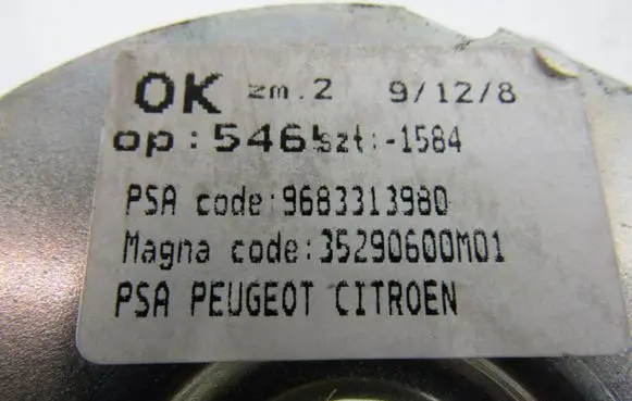 Peugeot 3008 I Loading door hinge set 9683313980