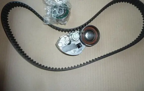 Hyundai Elantra Timing belt/chain tensioner J1110321