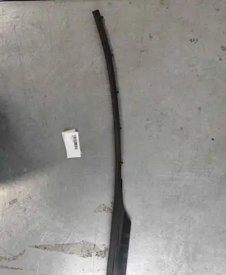 Renault Zoe Front door rubber seal 808311773R