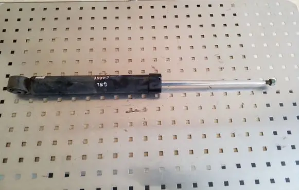 Volkswagen Golf V Rear shock absorber/damper 1K0513029