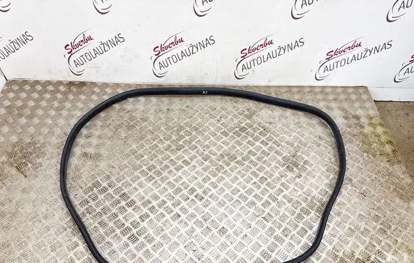 Renault Express Front door rubber seal