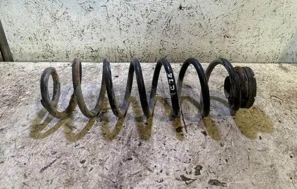 Skoda Roomster (5J) Rear coil spring