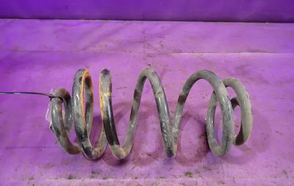 Rear coil spring