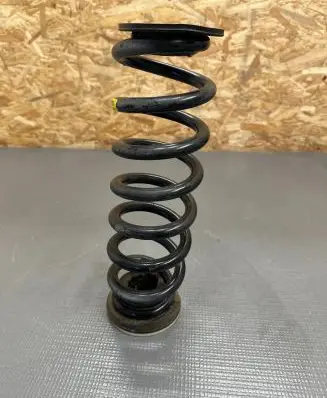 Opel Insignia B Rear coil spring AA99
