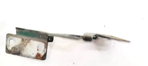 Citroen Berlingo Engine bonnet/hood hinges