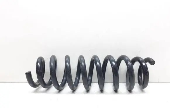Rear coil spring