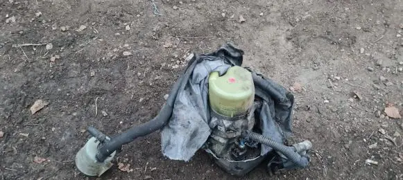 Electric power steering pump