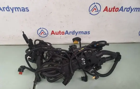 Engine installation wiring loom