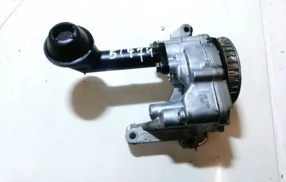 Volkswagen Golf VI Oil pump 101891307 s171109