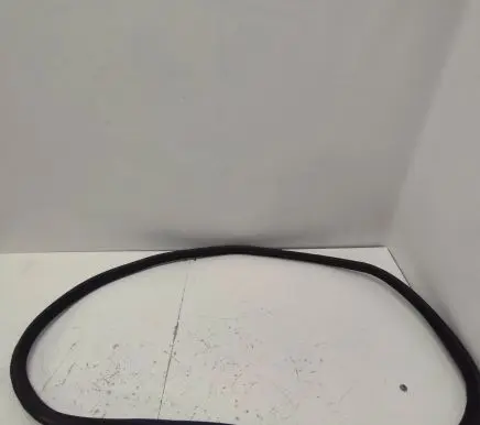 BMW i4 Rubber seal rear door 