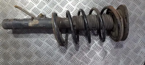 Peugeot 206 Front shock absorber/damper