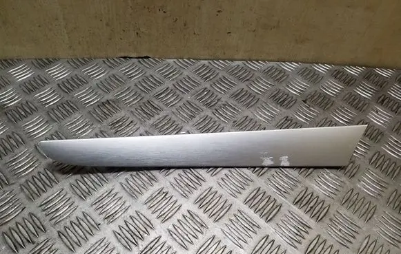 Other rear door trim element