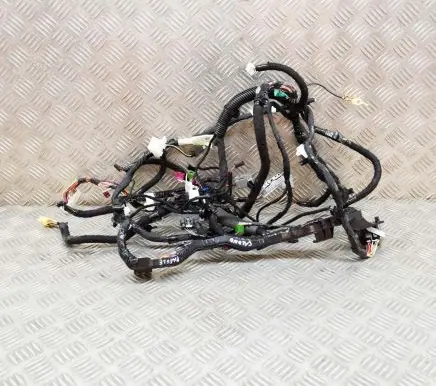 Tesla Model 3 Other wiring loom 111769002A