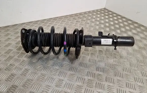 Ford Transit - Tourneo Connect Front shock absorber/damper DV6118K001AC