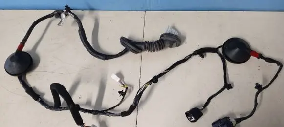 KIA Carens III Rear door wiring loom 91650A4070