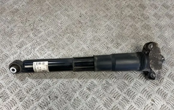 Volkswagen ID.4 Rear shock absorber/damper 1EA512013BD
