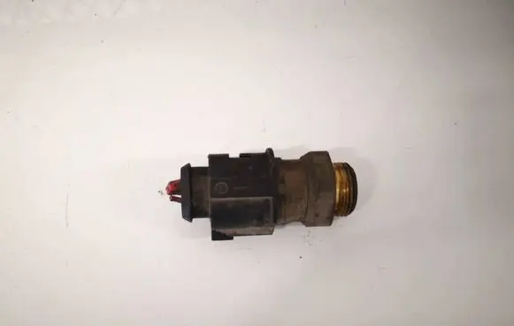 Skoda Praktik (5J8) Coolant temperature sensor 1j0959481