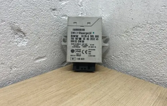 BMW 5 E39 Immobilizer control unit/module 61356905666 05393245 110187