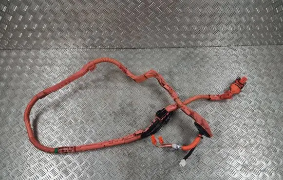 Lexus ES VII XZ10 Other wiring loom 821H133030Ce