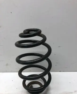 Volkswagen PASSAT B5.5 Rear coil spring