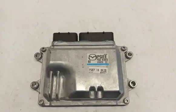 Engine control unit/module ECU
