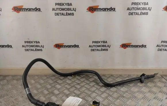 Volkswagen Phaeton Positive cable (battery) 3D1971228C