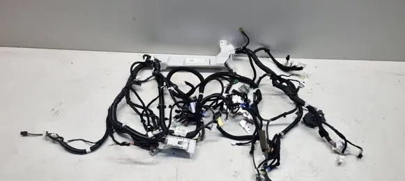Nissan Qashqai J12 Panel wiring 240106UM1E 16112022