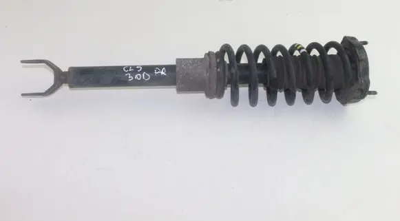 Mercedes-Benz CLS C219 Front shock absorber with coil spring