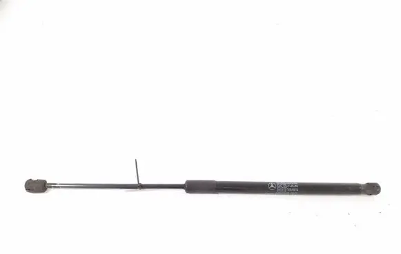 Tailgate strut