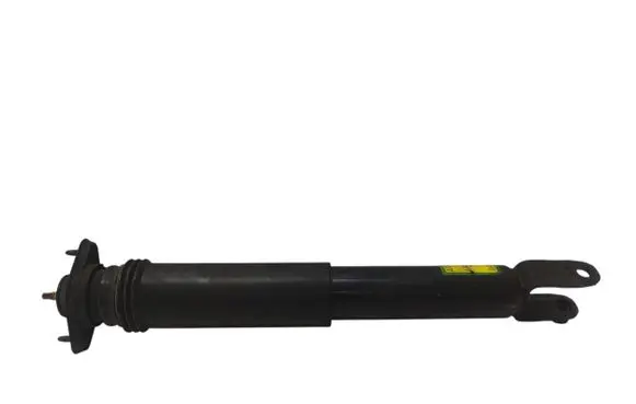 Cadillac CTS Rear shock absorber/damper 25770450