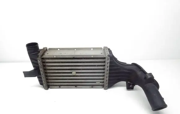 Opel Zafira A Intercooler radiator 24436438DF1 81770
