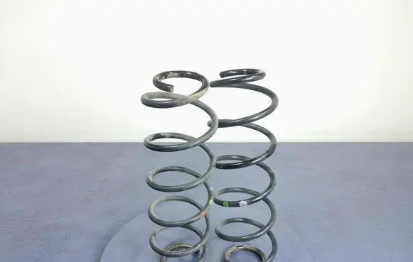 Rear coil spring