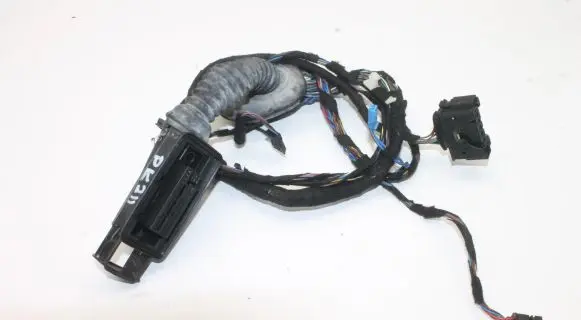 BMW 1 F20 F21 Front door wiring loom 9251716 9251733