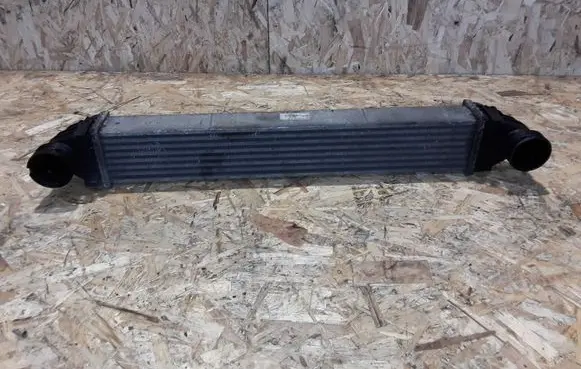 Mercedes-Benz A W169 Intercooler radiator A1695000000