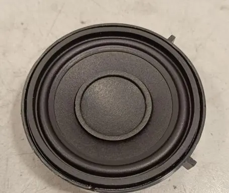 Mini Cooper Countryman F60 Panel speaker 6513915112704